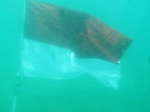 Lokasi Unik Pengibaran Merah Putih: Laut hingga Gunung
