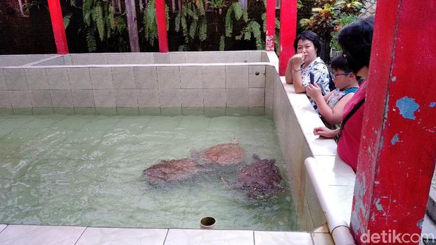Batu Hiu Pangandaran