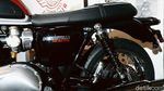 Tampang 5 Motor Triumph yang Mengaspal di RI, Paling Mahal Rp 750 Juta