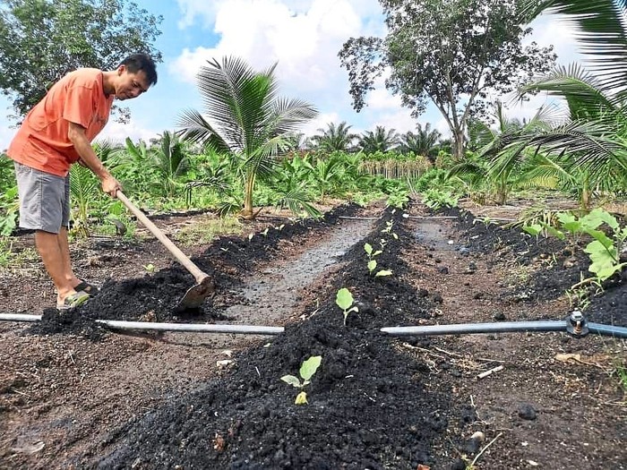 Bosan Jadi Pegawai  Bank  Pria  Ini Pilih Jadi Petani dan 