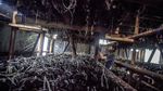 Melihat Budidaya Jamur Merang di Bogor