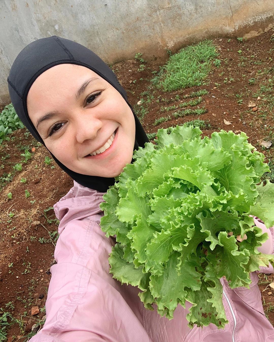 Cerita Haykal Kamil dan Istri Garap Kebun di Kompleks yang Kini Produktif