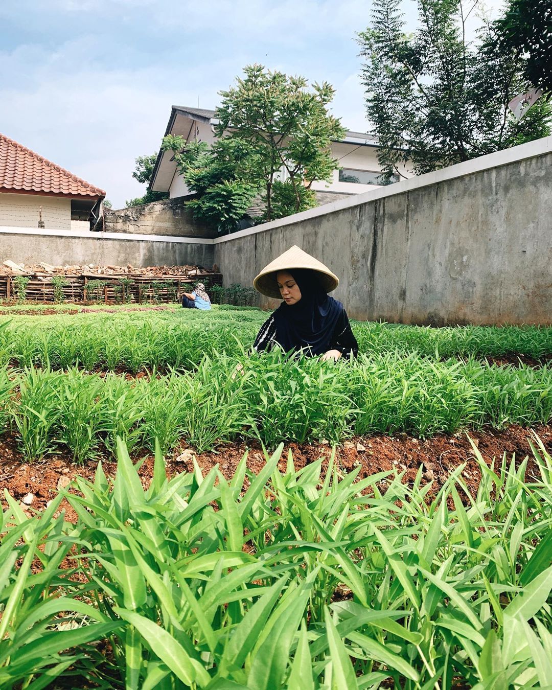 Cerita Haykal Kamil dan Istri Garap Kebun di Kompleks yang Kini Produktif