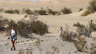 1.000 Orang Terjebak Banjir Langka di Death Valley Tempat Terpanas Bumi