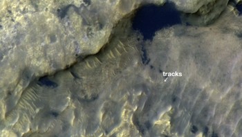 Wahana Mars Reconnaissance Orbiter juga memantau rover yang sedang lalu lalang di Mars, termasuk jalur perjalanan Curiosity ini.  Foto: NASA