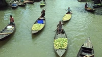 Wilayah selatan Bangladesh, terutama distrik Barisal, Pirojpur, dan Jhalbokathi, merupakan daerah penghasil utama jambu biji.  
