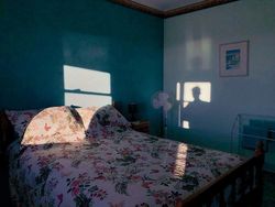 Keren! Foto Terbaik yang Dijepret Pakai iPhone