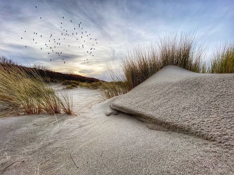 Jawara foto iPhone 2020