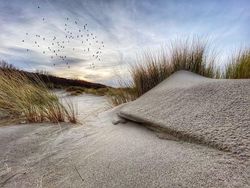 Keren! Foto Terbaik yang Dijepret Pakai iPhone