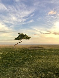Jawara foto iPhone 2020