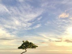 Keren! Foto Terbaik yang Dijepret Pakai iPhone