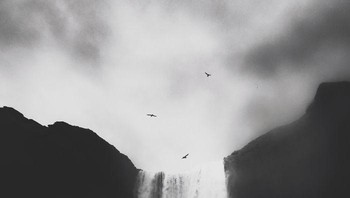 Juara pertama alam: Untitled oleh Lisi Li. Foto: Ippawards