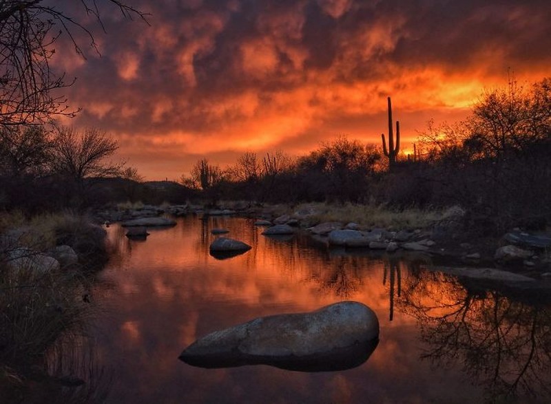 Jawara foto iPhone 2020