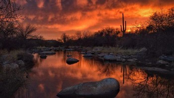 Juara kedua sunset: Twilight Reflection oleh Joseph Cyr. Foto: Ippawards