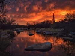 Keren! Foto Terbaik yang Dijepret Pakai iPhone