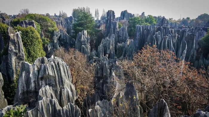 Kunming Stone Forest