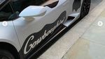 Mooo..Lamborghini Huracan Berkonsep Sapi Disapa Cowborghini