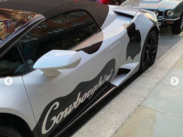 Mooo..Lamborghini Huracan Berkonsep Sapi Disapa Cowborghini