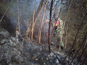 Ini Dugaan Penyebab Kebakaran Hutan di Gunung Ciremai