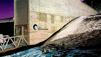 Seperti tampak PC komputer kah? Foto: Brightside