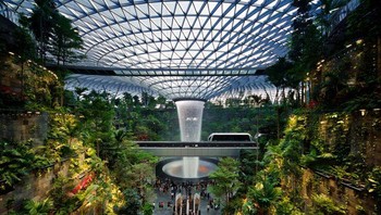 Hutan dalam Bandara Changi. Foto: Brightside