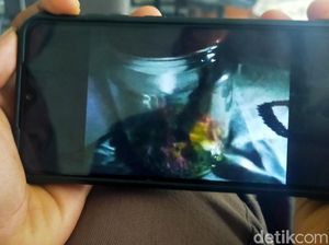 Video Heboh Detik-detik Penangkapan Jenglot di Banyuwangi