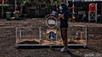 Menurutnya Perdanya sudah jelas. Bila Anies tetap membangun rusun di Kampung Akuarium, berarti Anies dinilainya melanggar Perda Pradita Utama/detikcom.