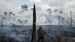 Foto-foto Kerusakan Hutan Amazon Akibat Kebakaran