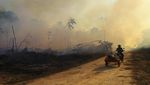 Foto-foto Kerusakan Hutan Amazon Akibat Kebakaran
