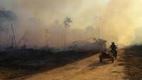 Dampak dari habisnya lahan di Amazon adalah bumi akan dilanda musim kemarau yang lebih panjang dan curah hujan yang lebih sedikit sehingga mengancam pertanian, air bersih, dan persediaan makanan. AP Photo/Edmar Barros  