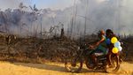 Foto-foto Kerusakan Hutan Amazon Akibat Kebakaran