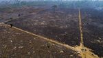 Foto-foto Kerusakan Hutan Amazon Akibat Kebakaran