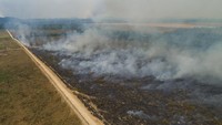 Mayoritas, kebakaran terjadi karena ilegal logging, pertambangan dan pertanian. atau deforestasi. AP Photo/Andre Penner  