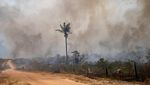 Foto-foto Kerusakan Hutan Amazon Akibat Kebakaran