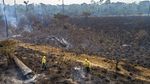Foto-foto Kerusakan Hutan Amazon Akibat Kebakaran