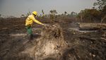Foto-foto Kerusakan Hutan Amazon Akibat Kebakaran