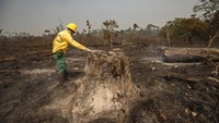 Para ahli mengatakan kobaran api terus mendorong hutan hujan terbesar di dunia ini menuju titik kritis.AP Photo/Andre Penner  