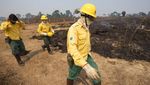 Foto-foto Kerusakan Hutan Amazon Akibat Kebakaran