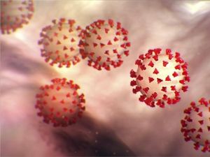 Ilmuwan Sebut Virus Corona Bisa Menginfeksi Usus Meski Negatif di Pernapasan
