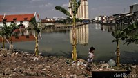 Total, akan ada 241 unit yang akan dibangun di 5 blok di Kampung Akuarium.