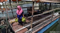 Seperti diketahui, Gubernur DKI Jakarta Anies Baswedan mulai membangun Kampung Susun Akuarium di Penjaringan, Jakut. Peletakan batu pertama pembangunan telah dilakukan pada 17 Agustus 2020 lalu.