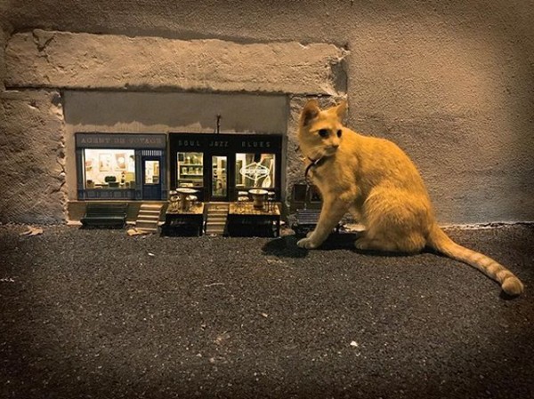 Sampai saat ini, mereka telah membangun 25 miniatur di empat kota berbeda di Swedia, di selatan Prancis dan di Pulau Man. (AnonyMouse/Instagram) Sampai saat ini, mereka telah membangun 25 miniatur di empat kota berbeda di Swedia, di selatan Prancis dan di Pulau Man. (AnonyMouse/Instagram)
