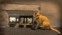 Sampai saat ini, mereka telah membangun 25 miniatur di empat kota berbeda di Swedia, di selatan Prancis dan di Pulau Man. (AnonyMouse/Instagram)