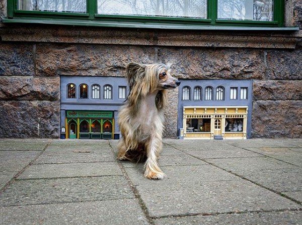AnonyMouse telah memulai membangun instalasi miniatur untuk tikus ini semenjak tahun 2016. Dia terinspirasi Astrid Lindgren dan Beatrix Potter serta film Walt Disney dan Don Bluth. (AnonyMouse/Instagram) AnonyMouse telah memulai membangun instalasi miniatur untuk tikus ini semenjak tahun 2016. Dia terinspirasi Astrid Lindgren dan Beatrix Potter serta film Walt Disney dan Don Bluth. (AnonyMouse/Instagram)