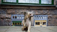 AnonyMouse telah memulai membangun instalasi miniatur untuk tikus ini semenjak tahun 2016. Dia terinspirasi Astrid Lindgren dan Beatrix Potter serta film Walt Disney dan Don Bluth. (AnonyMouse/Instagram)