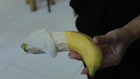 Demonstrasi dilakukan dengan memasukkan buah pisang yang telah dilapisi selotip setengah bagiannya ke dalam kotak. (Foto: Yudha Maulana/detikHealth)