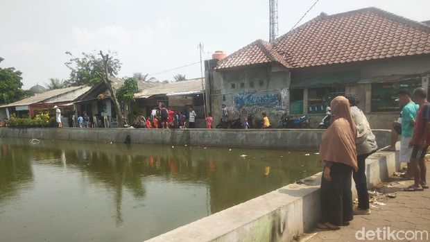 Ikan-ikan di Situ Rawa Besar, Depok mendadak mati.
