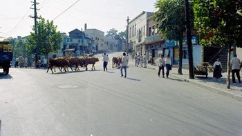 Tak cuma harus kerja keras dan disiplin ala militer, Presiden Park yang seorang Jenderal juga menanamkan semangat pali-pali alias bekerja cepat.  Foto: Vintages