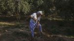 Lahan Petani Mesir Ini Kekeringan Akibat Proyek Bendungan Etiopia