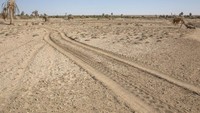 Pada musim dingin tahun 1964, Makhluf Abu Kassem lahir di komunitas pertanian yang baru dibentuk di ujung oasis Fayoum Mesir.